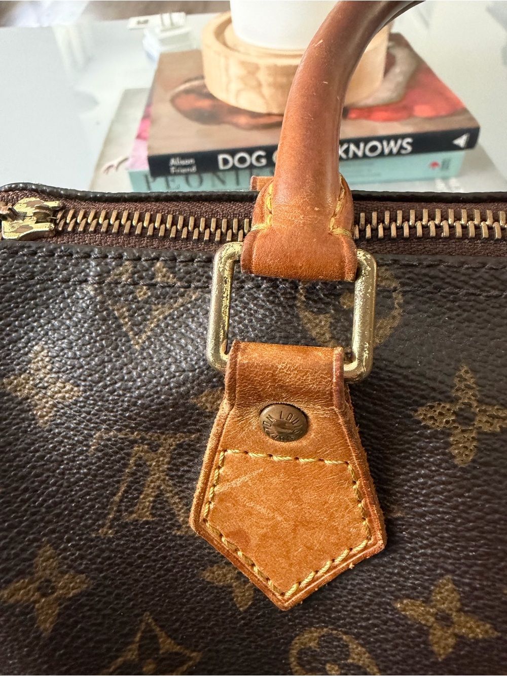 Louis Vuitton Monogram Top Handle Satchel - Brown/Tan - Picture 8 of 16